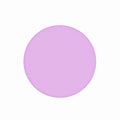 1Î¼m 1 Piece Purple Polishing Film with 127mm Diameter