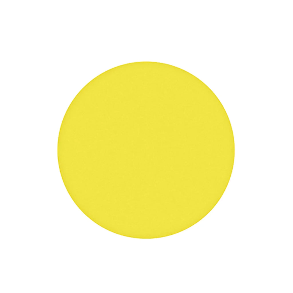 30Î¼m 1 Piece Yellow Polishing Film with 127mm Diameter