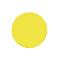 30Î¼m 1 Piece Yellow Polishing Film with 127mm Diameter