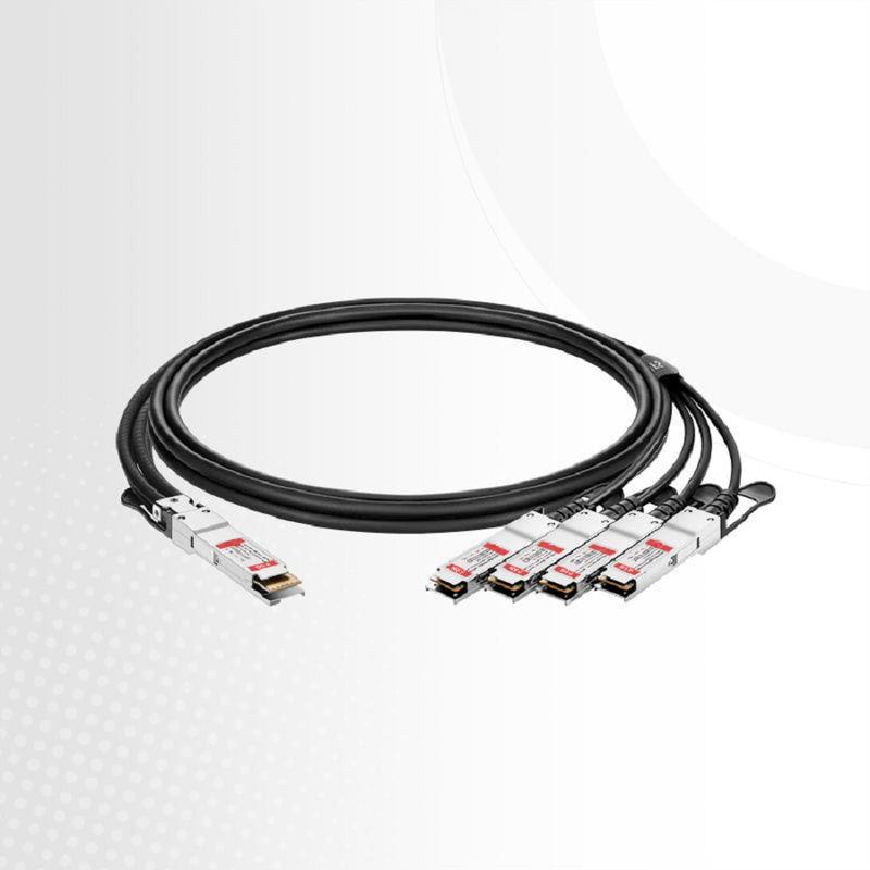 2m (7ft) Generic Compatible 400G QSFP-DD 8 x 50G PAM4 to 4 x 100G QSFP56 2 x 50G PAM4 Passive Direct Attach Copper Breakout Cable