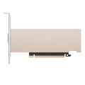 1x 800G OSFP, PCIe 6.0 x16, Crypto