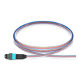 1m (3ft) MTP® Fiber Pigtail, MTP-12® UPC (Male) to Unterminated, 12 Fibers, Multimode (OM4), Unjacketed, 12-Color