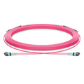 30m (98ft) MTP® Trunk Cable, MTP®-8 UPC (Female) to MTP®-8 UPC (Female), 16 Fibers, Multimode (OM4), Plenum (OFNP), 0.20dB Max, Type B, Double Jacket, Magenta