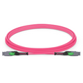 3m (10ft) MMC Jumper, MMC-16 APC (Female) to MMC-16 APC (Female), 16 Fibers, Multimode (OM4), Plenum (OFNP), 0.35dB Max, Jumper Polarity, Magenta