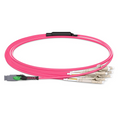1m (3ft) MMC Harness, MMC-16 APC (Female) to 8 x LC UPC Duplex, 16 Fibers, Multimode (OM4), Plenum (OFNP), 0.35dB Max, Jumper Polarity, Magenta