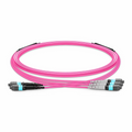 3m (10ft) MTP® Breakout Cable, 2 x MTP®-12 UPC (Male) to 3 x MTP®-8 UPC (Female), 24 Fibers, Multimode (OM4), Plenum (OFNP), 0.35dB Max, Type A, Magenta