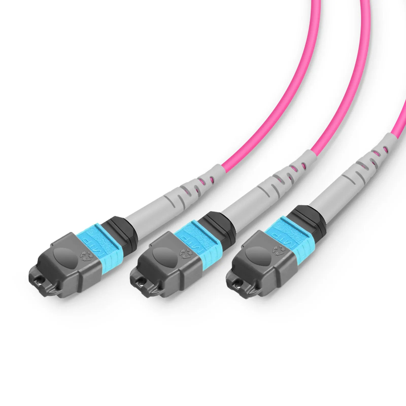 2m (7ft) MMC Breakout Cable, MMC-24 APC (Female) to 3 x MTP®-8 UPC (Female), 24 Fibers, Multimode (OM4), Plenum (OFNP), 0.35dB Max, Jumper Polarity, Magenta
