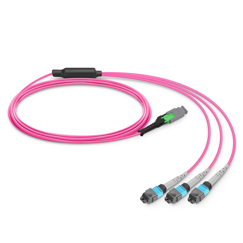3m (10ft) MMC Breakout Cable, MMC-24 APC (Female) to 3 x MTP®-8 UPC (Female), 24 Fibers, Multimode (OM4), Plenum (OFNP), 0.35dB Max, Jumper Polarity, Magenta