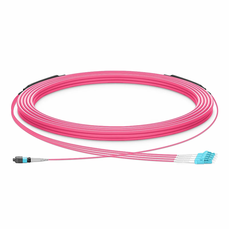 30m (98ft) MTP® Hybrid Trunk Cable, MTP®-8 UPC (Female) to 4 LC UPC Duplex Uniboot, 8 Fibers, Multimode (OM4), Plenum (OFNP), 0.20dB Max, Type B, Double Jacket, Magenta