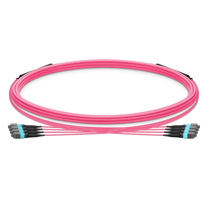 5m (16ft) MTP® Trunk Cable, MTP®-12 UPC (Female) to MTP®-12 UPC (Female), 48 Fibers, Multimode (OM4), Plenum (OFNP), 0.20dB Max, Type B, Double Jacket, Magenta