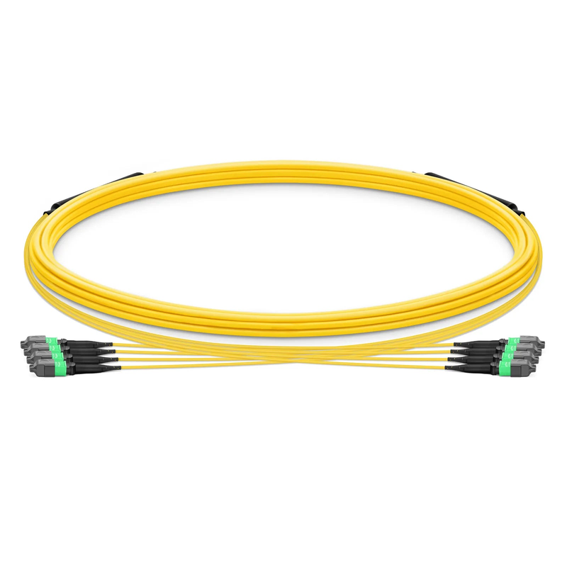5m (16ft) MTP® Trunk Cable, MTP®-12 APC (Female) to MTP®-12 APC (Female), 48 Fibers, Single Mode (OS2), Plenum (OFNP), 0.35dB Max, Type B, Double Jacket, Yellow