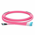 30m (98ft) MTP® Hybrid Trunk Cable, MTP®-12 UPC (Female) to 6 LC UPC Duplex Uniboot, 48 Fibers, Multimode (OM4), Plenum (OFNP), 0.20dB Max, Type B, Double Jacket, Magenta
