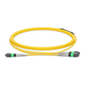 NVIDIA/Mellanox MFP7E40-N015 Compatible 15m (49ft) MTP® Breakout Cable, MTP®-12 APC (Female) to 2 x MTP®-4 APC (Female), 8 Fibers, Single Mode (OS2), Plenum (OFNP), 0.35dB Max, Type B, Yellow