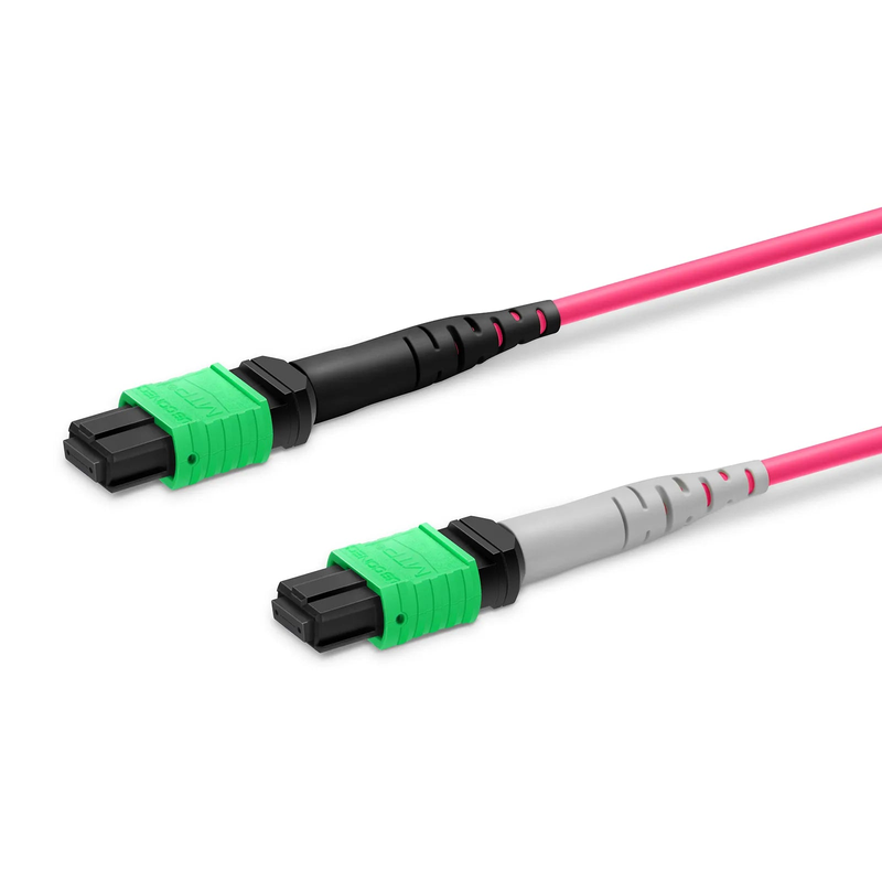 1m (3ft) MTP® Breakout Cable, MTP®-16 APC (Female) to 2 x MTP®-8 APC (Female), 16 Fibers, Multimode (OM4), Plenum (OFNP), 0.35dB Max, Crossover, Magenta