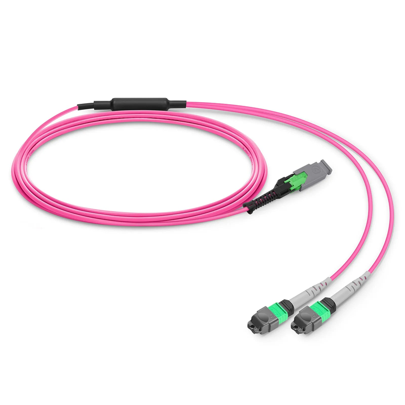 2m (7ft) MMC Breakout Cable, MMC-16 APC (Female) to 2 x MTP®-8 APC (Female), 16 Fibers, Multimode (OM4), Plenum (OFNP), 0.35dB Max, Jumper Polarity, Magenta