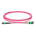 1m (3ft) MTP® Breakout Cable, MTP®-16 APC (Female) to 2 x MTP®-8 APC (Female), 16 Fibers, Multimode (OM4), Dual Rated (OFNR/LSZH), 0.35dB Max, Crossover, Magenta