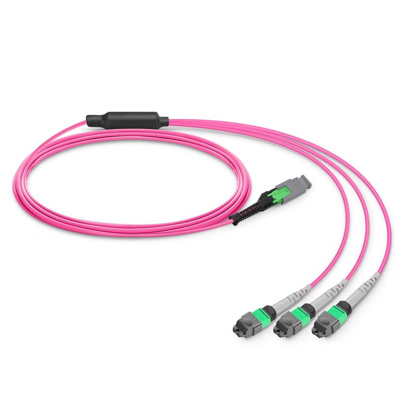 2m (7ft) MMC Breakout Cable, MMC-24 APC (Female) to 3 x MTP®-8 APC (Female), 24 Fibers, Multimode (OM4), Plenum (OFNP), 0.35dB Max, Jumper Polarity, Magenta