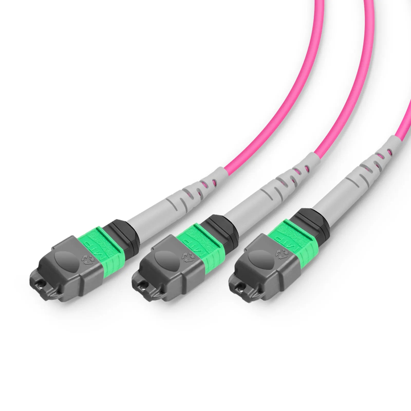 3m (10ft) MMC Breakout Cable, MMC-24 APC (Female) to 3 x MTP®-8 APC (Female), 24 Fibers, Multimode (OM4), Plenum (OFNP), 0.35dB Max, Jumper Polarity, Magenta