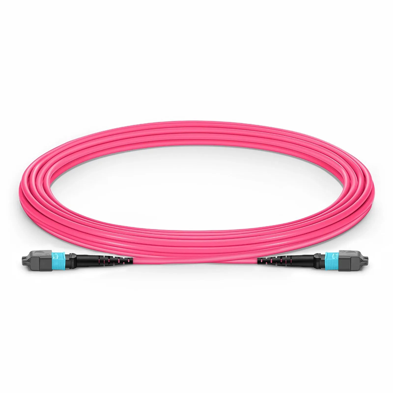 6m (20ft) MTP® Jumper, MTP®-12 UPC (Female) to MTP®-12 UPC (Female), 12 Fibers, Multimode (OM4), Plenum (OFNP), 0.35dB Max, Type B, Magenta
