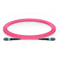 3m (10ft) MTP® Jumper, MTP®-12 UPC (Female) to MTP®-12 UPC (Female), 12 Fibers, Multimode (OM4), Plenum (OFNP), 0.35dB Max, Type B, Magenta