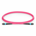 2m (7ft) MTP® Jumper, MTP®-12 UPC (Female) to MTP®-12 UPC (Female), 12 Fibers, Multimode (OM4), Plenum (OFNP), 0.35dB Max, Type B, Magenta