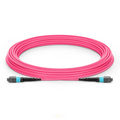 10m (33ft) MTP® Jumper, MTP®-12 UPC (Female) to MTP®-12 UPC (Female), 12 Fibers, Multimode (OM4), Plenum (OFNP), 0.35dB Max, Type B, Magenta