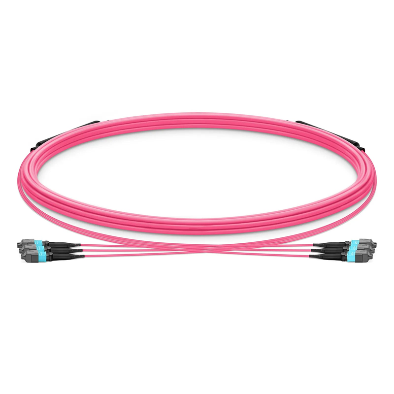 5m (16ft) MTP® Trunk Cable, MTP®-12 UPC (Female) to MTP®-12 UPC (Female), 36 Fibers, Multimode (OM4), Plenum (OFNP), 0.20dB Max, Type B, Double Jacket, Magenta