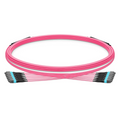 5m (16ft) MTP® Trunk Cable, MTP®-12 UPC (Female) to MTP®-12 UPC (Female), 72 Fibers, Multimode (OM4), Plenum (OFNP), 0.20dB Max, Type B, Double Jacket, Magenta