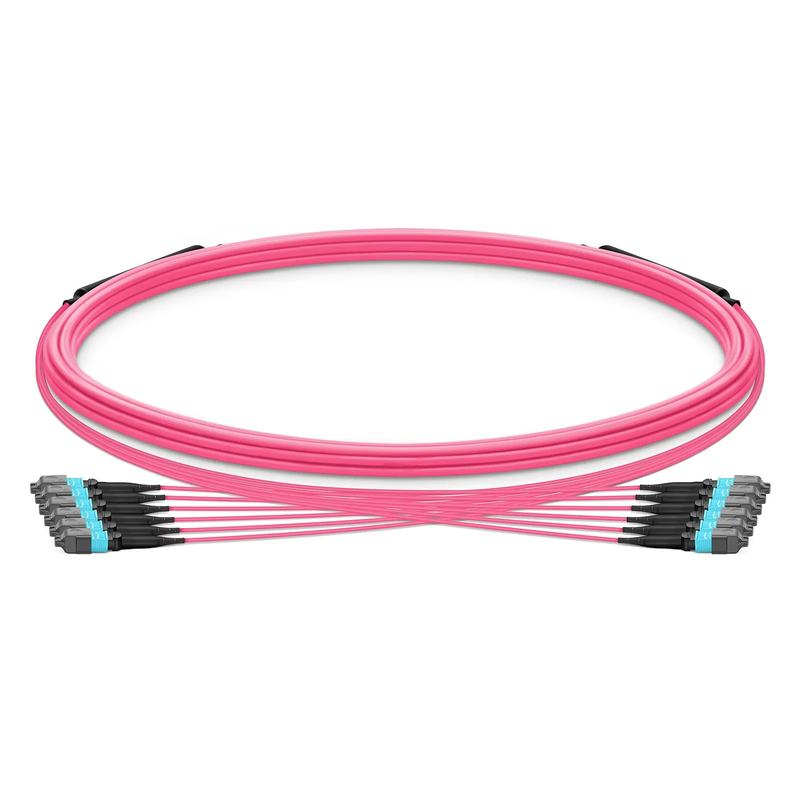 5m (16ft) MTP® Trunk Cable, MTP®-12 UPC (Female) to MTP®-12 UPC (Female), 72 Fibers, Multimode (OM4), Plenum (OFNP), 0.20dB Max, Type B, Double Jacket, Magenta