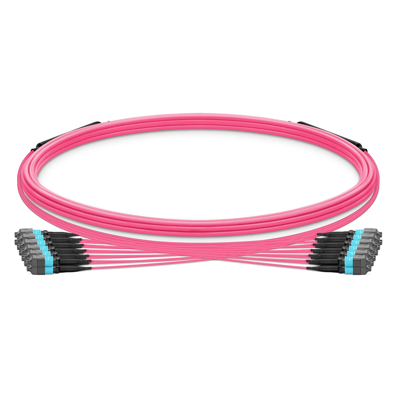 5m (16ft) MTP® Trunk Cable, MTP®-12 UPC (Female) to MTP®-12 UPC (Female), 144 Fibers, Multimode (OM4), Plenum (OFNP), 0.20dB Max, Type B, Double Jacket, Magenta