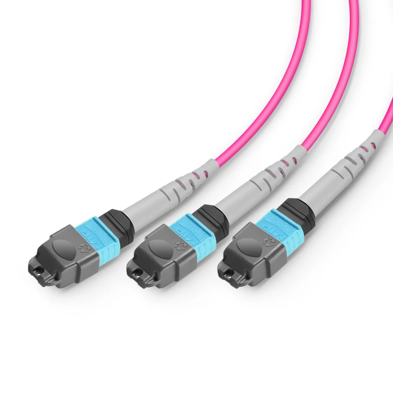 3m (10ft) MTP® Breakout Cable, MTP®-24 UPC (Female) to 3 x MTP®-8 UPC (Female), 24 Fibers, Multimode (OM4), Plenum (OFNP), 0.35dB Max, Type B, Magenta