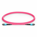 2m (7ft) MTP® PRO Jumper, MTP® PRO-12 UPC (Male) to MTP® PRO-12 UPC (Male), 12 Fibers, Multimode (OM4), Plenum (OFNP), 0.35dB Max, Type B, Magenta