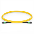 2m (7ft) MTP® Jumper, MTP®-12 APC (Female) to MTP®-12 APC (Female), 12 Fibers, Single Mode (OS2), Plenum (OFNP), 0.35dB Max, Type B, Yellow