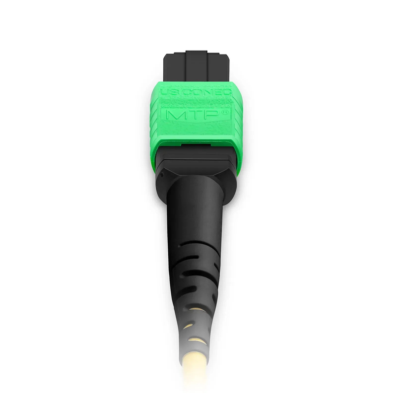 2m (7ft) MTP® Jumper, MTP®-12 APC (Female) to MTP®-12 APC (Female), 12 Fibers, Single Mode (OS2), Plenum (OFNP), 0.35dB Max, Type B, Yellow