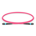 1m (3ft) MTP® Jumper, MTP®-12 UPC (Female) to MTP®-12 UPC (Female), 12 Fibers, Multimode (OM4), Plenum (OFNP), 0.35dB Max, Type B, Magenta