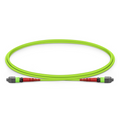 1m (3ft) MTP® Jumper, MTP®-24 UPC (Female) to MTP®-24 UPC (Female), 24 Fibers, Multimode (OM5), Plenum (OFNP), 0.35dB Max, Type A, Lime Green