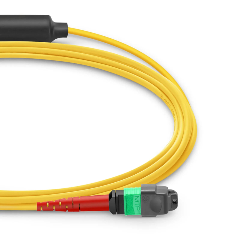 5m (16ft) MTP® Breakout Cable, MTP®-24 APC (Female) to 2 x MTP®-12 APC (Female), 24 Fibers, Single Mode (OS2), Plenum (OFNP), 0.35dB Max, Type A, Yellow