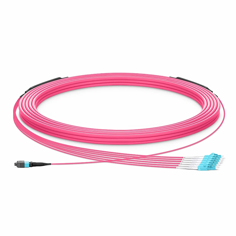 30m (98ft) MTP® Hybrid Trunk Cable, MTP®-12 UPC (Female) to 6 LC UPC Duplex Uniboot, 12 Fibers, Multimode (OM4), Plenum (OFNP), 0.20dB Max, Type B, Double Jacket, Magenta