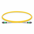 1m (3ft) MTP® Jumper, MTP®-8 APC (Female) to MTP®-8 APC (Female), 8 Fibers, Single Mode (OS2), Plenum (OFNP), 0.35dB Max, Type B, Yellow