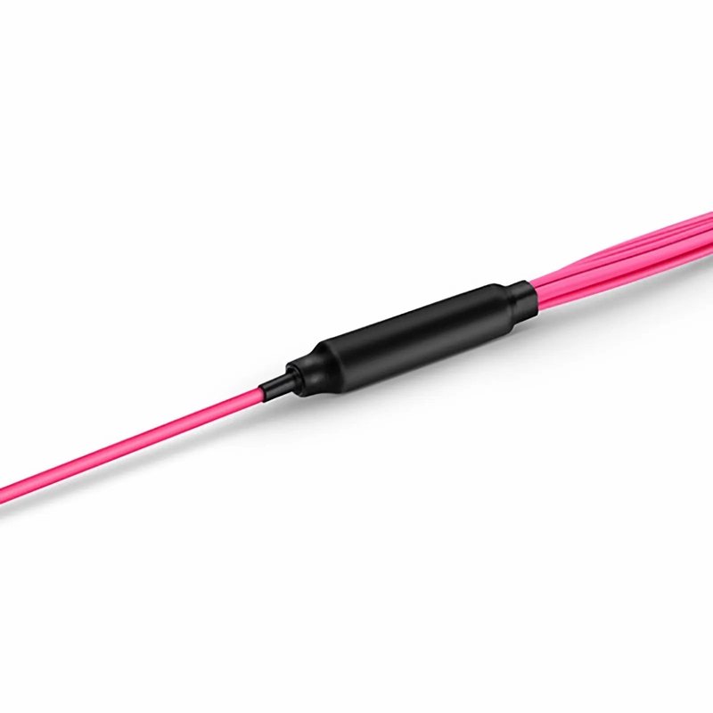 5m (16ft) MTP® Harness, MTP®-8 UPC (Female) to 4 x LC UPC Duplex, 8 Fibers, Multimode (OM4), Plenum (OFNP), 0.35dB Max, Type B, Magenta