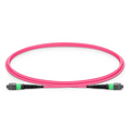 1m (3ft) MTP® Jumper, MTP®-16 APC (Female) to MTP®-16 APC (Female), 16 Fibers, Multimode (OM4), Dual Rated (OFNR/LSZH), 0.35dB Max, Crossover, Magenta