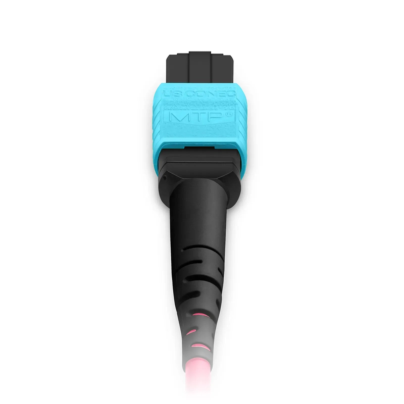 3m (10ft) MTP® Jumper, MTP®-12 UPC (Female) to MTP®-12 UPC (Male), 12 Fibers, Multimode (OM4), Plenum (OFNP), 0.35dB Max, Type A, Magenta
