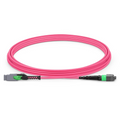 3m (10ft) MMC Jumper, MMC-16 APC (Female) to MTP®-16 APC (Female), 16 Fibers, Multimode (OM4), Plenum (OFNP), 0.35dB Max, Jumper Polarity, Magenta
