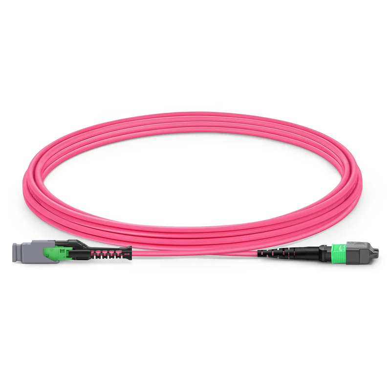 3m (10ft) MMC Jumper, MMC-16 APC (Female) to MTP®-16 APC (Female), 16 Fibers, Multimode (OM4), Plenum (OFNP), 0.35dB Max, Jumper Polarity, Magenta
