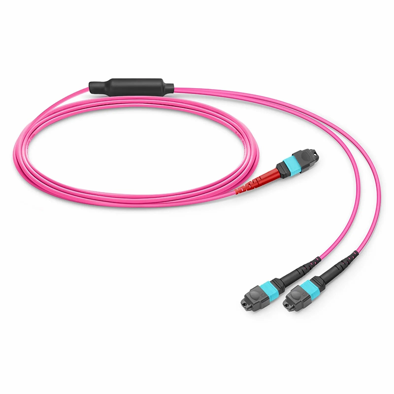 3m (10ft) MTP® Breakout Cable, MTP®-24 UPC (Female) to 2 x MTP®-12 UPC (Female), 24 Fibers, Multimode (OM4), Plenum (OFNP), 0.35dB Max, Type A, Magenta