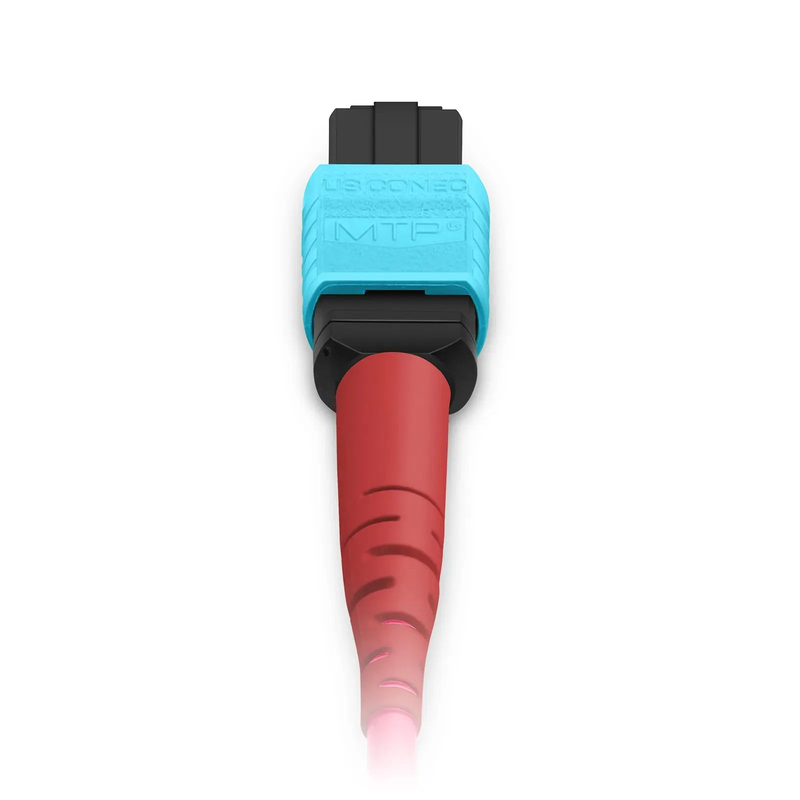 10m (33ft) MTP® Breakout Cable, MTP®-24 UPC (Female) to 2 x MTP®-12 UPC (Female), 24 Fibers, Multimode (OM4), Plenum (OFNP), 0.35dB Max, Type A, Magenta