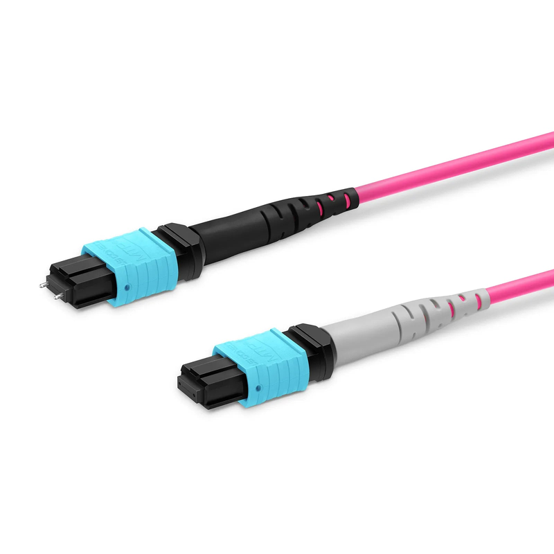3m (10ft) MTP® Breakout Cable, 2 x MTP®-12 UPC (Male) to 3 x MTP®-8 UPC (Female), 24 Fibers, Multimode (OM4), Plenum (OFNP), 0.35dB Max, Type A, Magenta