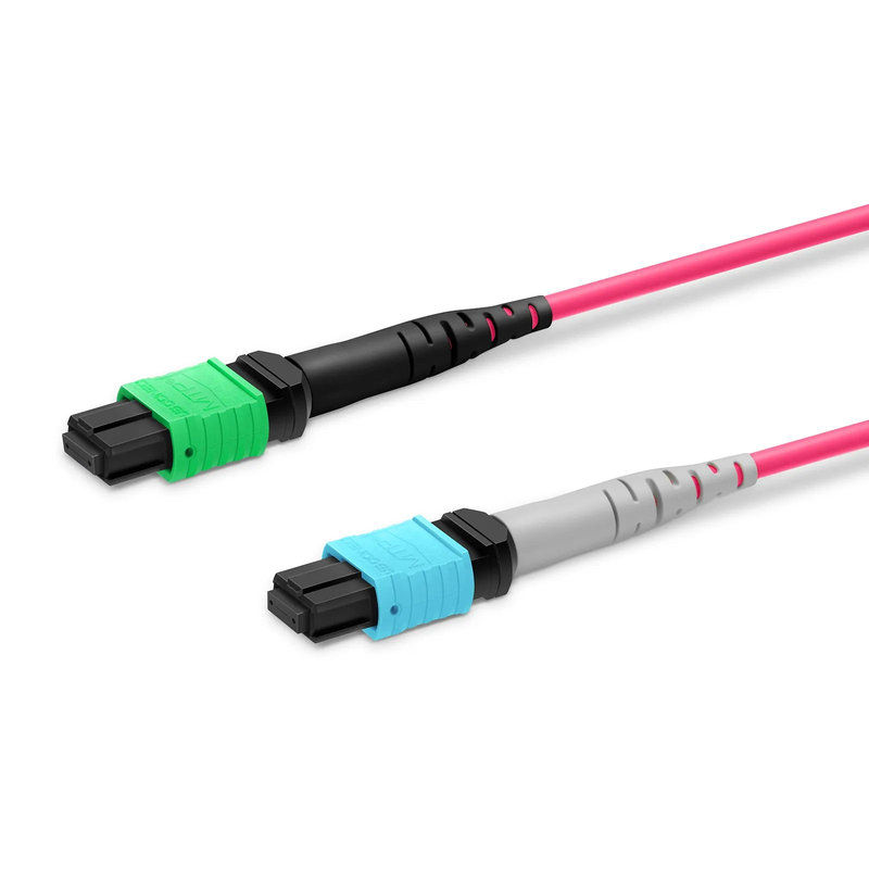5m (16ft) MTP® Breakout Cable, MTP®-16 APC (Female) to 2 x MTP®-8 UPC (Female), 16 Fibers, Multimode (OM4), Plenum (OFNP), 0.35dB Max, Crossover, Magenta
