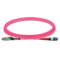 3m (10ft) MMC Jumper, MMC-24 APC (Female) to MTP®-24 UPC (Female), 24 Fibers, Multimode (OM4), Plenum (OFNP), 0.35dB Max, Jumper Polarity, Magenta