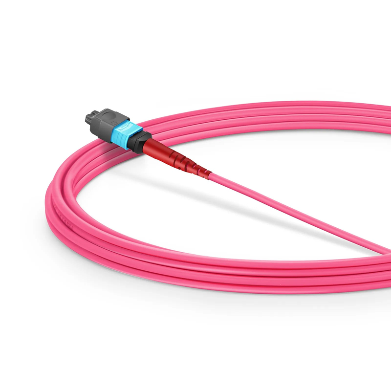 3m (10ft) MMC Jumper, MMC-24 APC (Female) to MTP®-24 UPC (Female), 24 Fibers, Multimode (OM4), Plenum (OFNP), 0.35dB Max, Jumper Polarity, Magenta